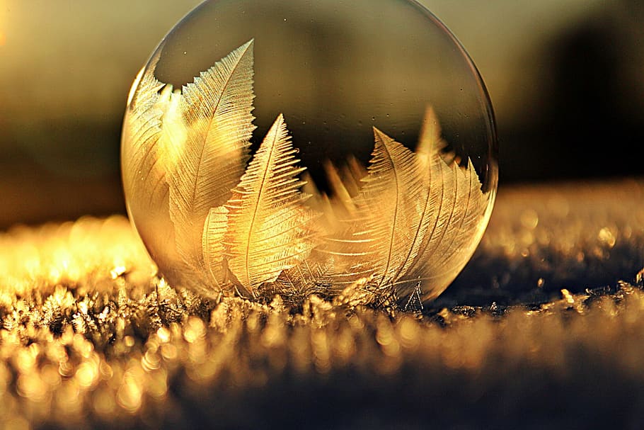 closeup photo of glass sphere, frost blister, ice-bag, soap bubble