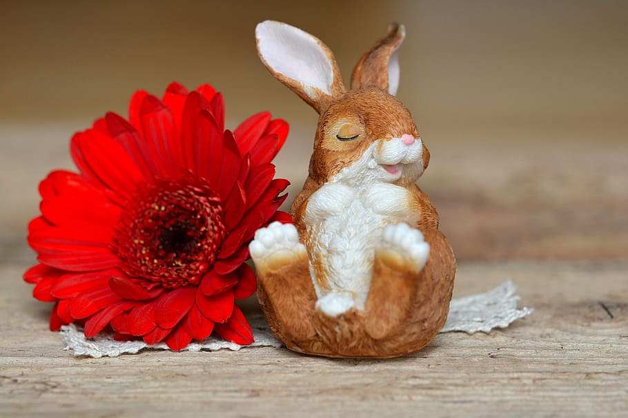 hare, dekohase, gerbera, flower, flower red, deco, decoration HD wallpaper