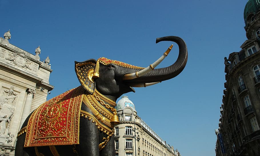 Elephant, Statue, City, Blue Sky, architecture, famous Place, HD wallpaper