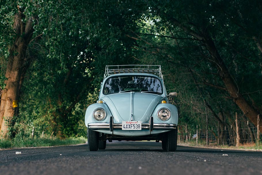 Vintage Volkswagen Beetle on country road, blue Volkswagen Beetle coupe on road near trees at daytime, HD wallpaper
