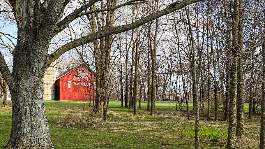 barn, rustic, barns, ohio, digital art, rural, scenic, country HD wallpaper
