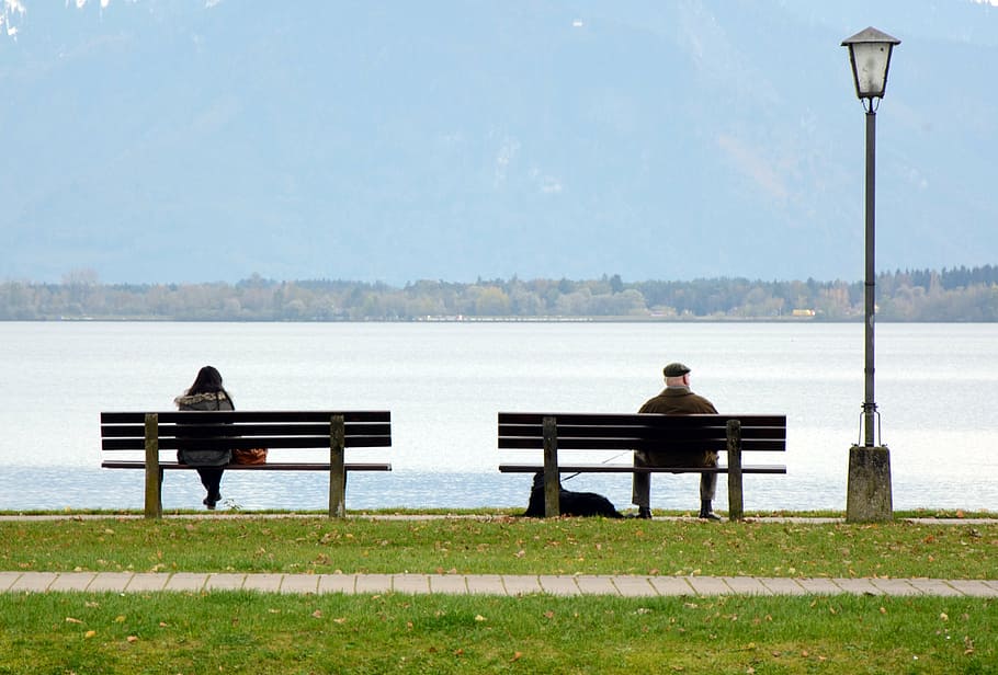 bank, bench, human, sit, lake, seat, out, nature, waters, person HD wallpaper