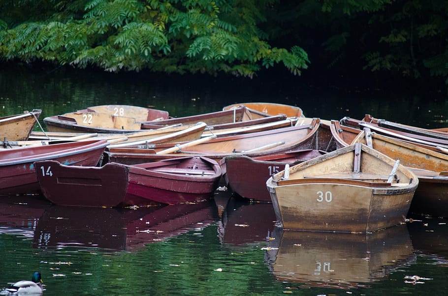 bürgerpark, fall, autumn, nautical vessel, water, moored, mode of transportation HD wallpaper