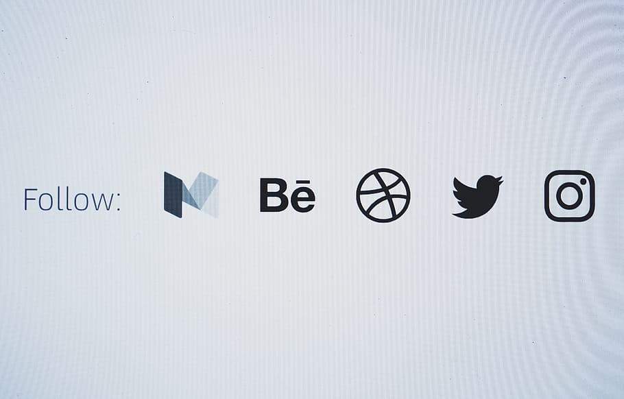 bird, follow, internet, connection, app, close-up, dribbble, email HD wallpaper