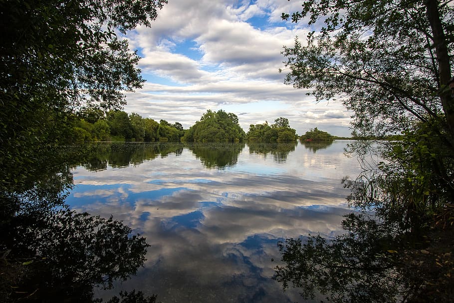 green tree near body of water, lake, trees, reading, england HD wallpaper