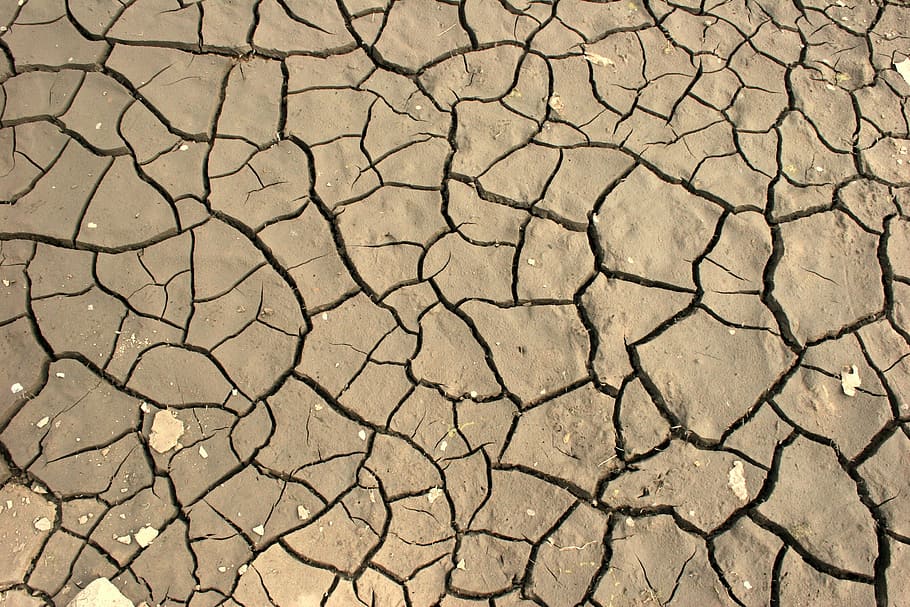 brown soil, ground, cracked, dry, desert, nature, drought, land