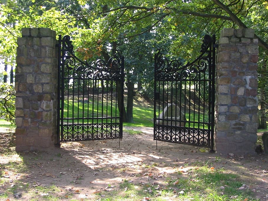 black steel gate under trees, wrought iron, input, door, plant