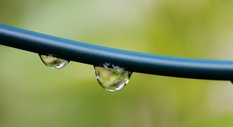 water, drop, rain, bubble, nature, splash, droplet, transparent HD wallpaper