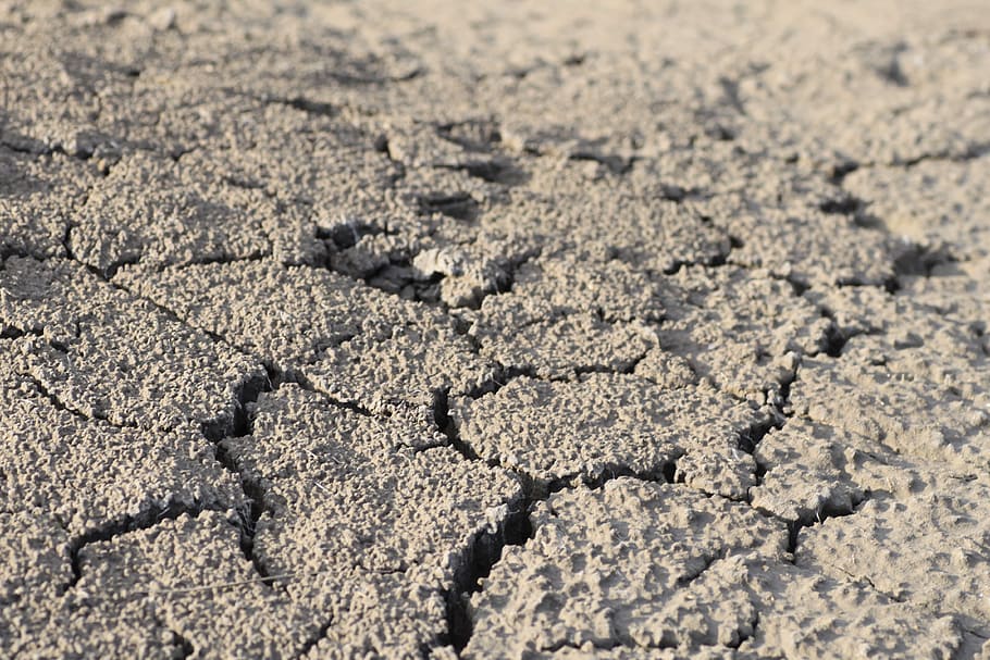 Cracks, Ground, Dry, Drought, grey, shriveled from, sandy, background HD wallpaper