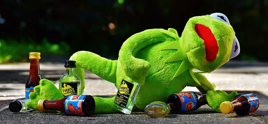 green frog plush toy, kermit, drink, alcohol, drunk, rest, sit