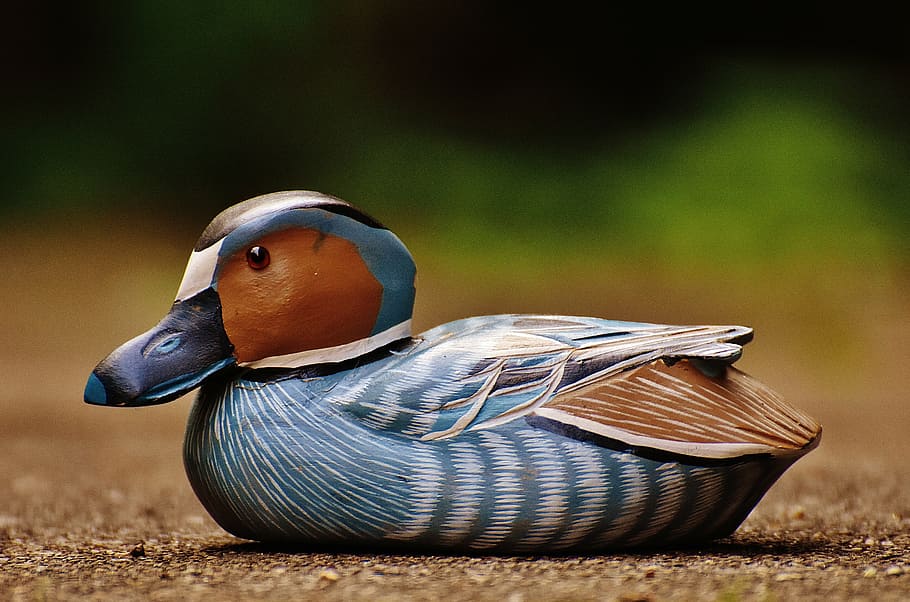 duck, deco, figure, cute, sweet, wood, animal, colorful, bird HD wallpaper