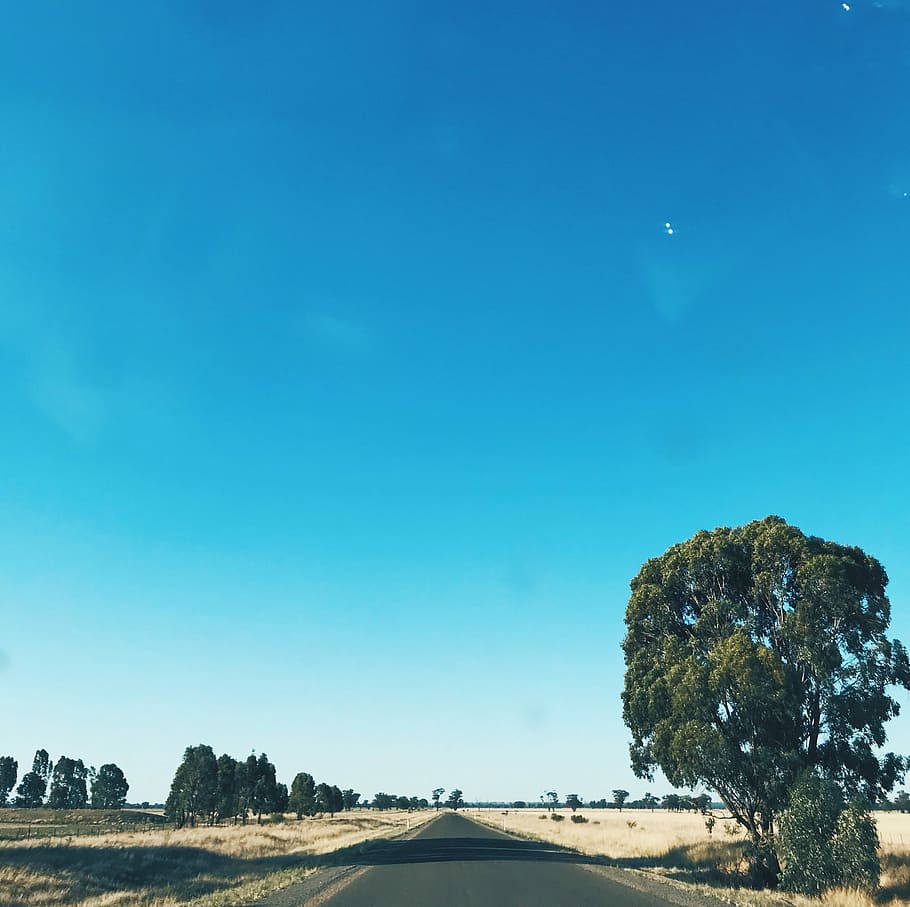 empty asphalt road between fields and green trees, blue sky HD wallpaper
