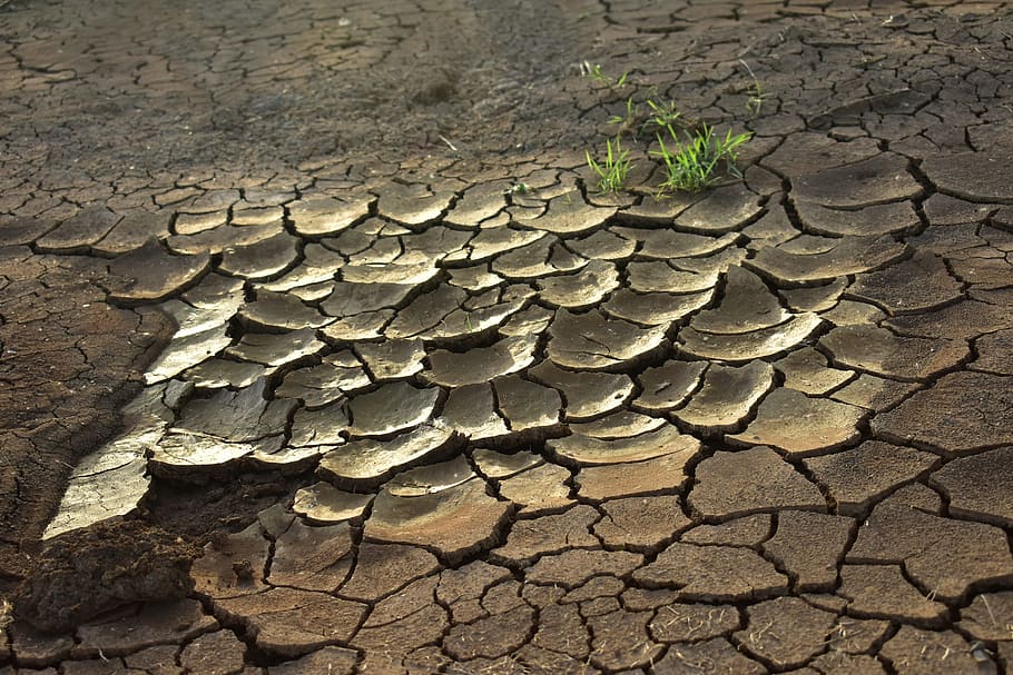 Drought spreads in key U.S. crop states | Reuters