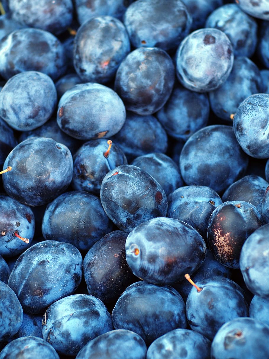 blackberries photo, plum, fruit, texture, blue, purple, sweet HD wallpaper
