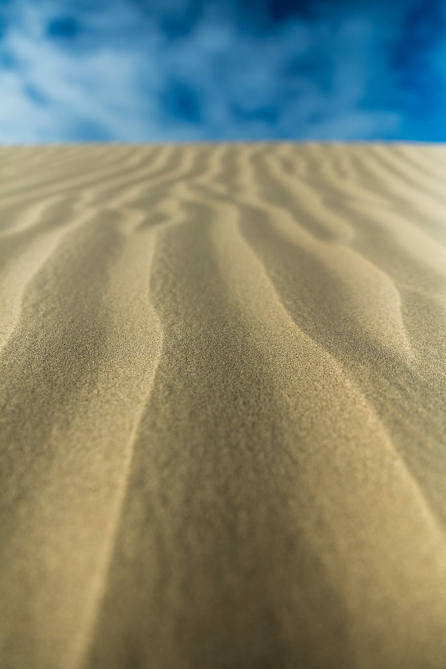 focus photo of brown sand, macro photography of a sand dunes HD wallpaper