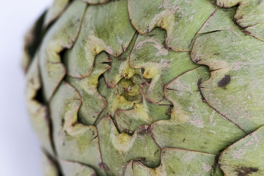 macro, background, artichoke, vegetable, wallpaper, food and drink HD wallpaper