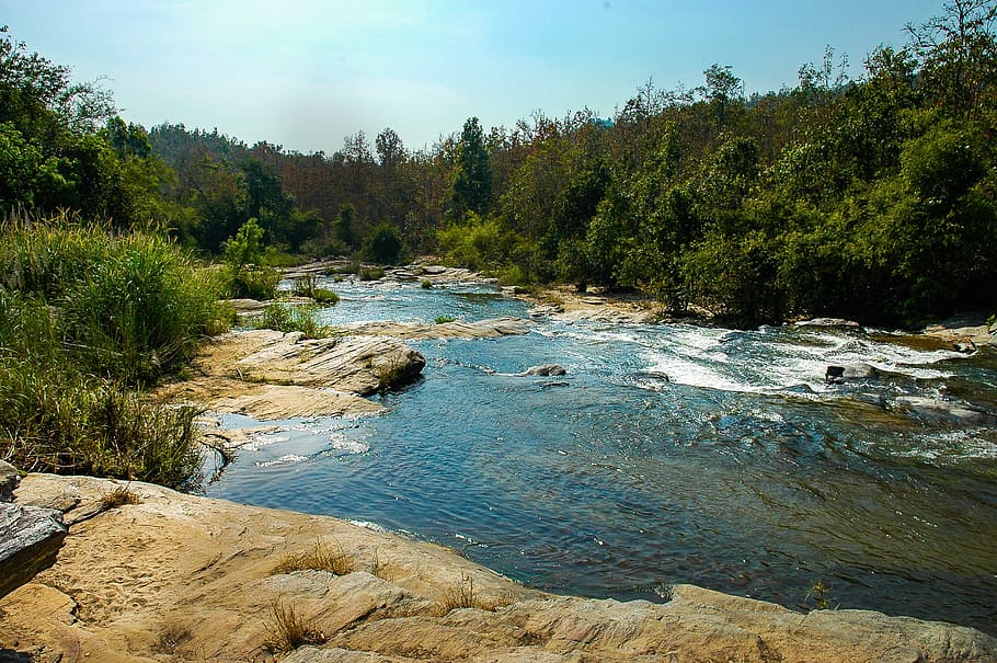River, Landscape, Flow, Forest, river landscape, tree, nature HD wallpaper