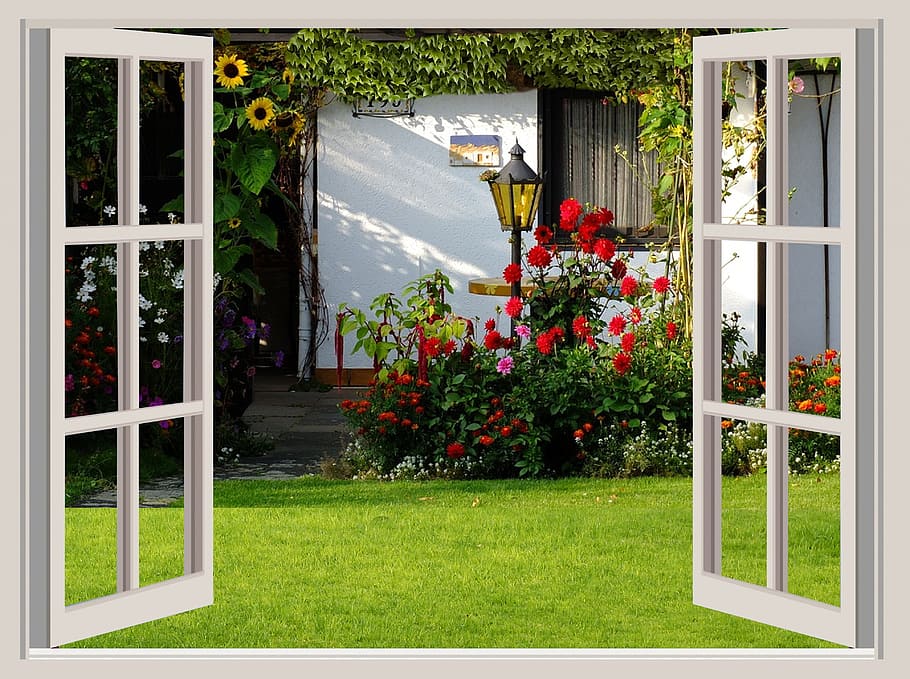 two white wooden framed and clear glass 6-lite pane windows, garden, HD wallpaper
