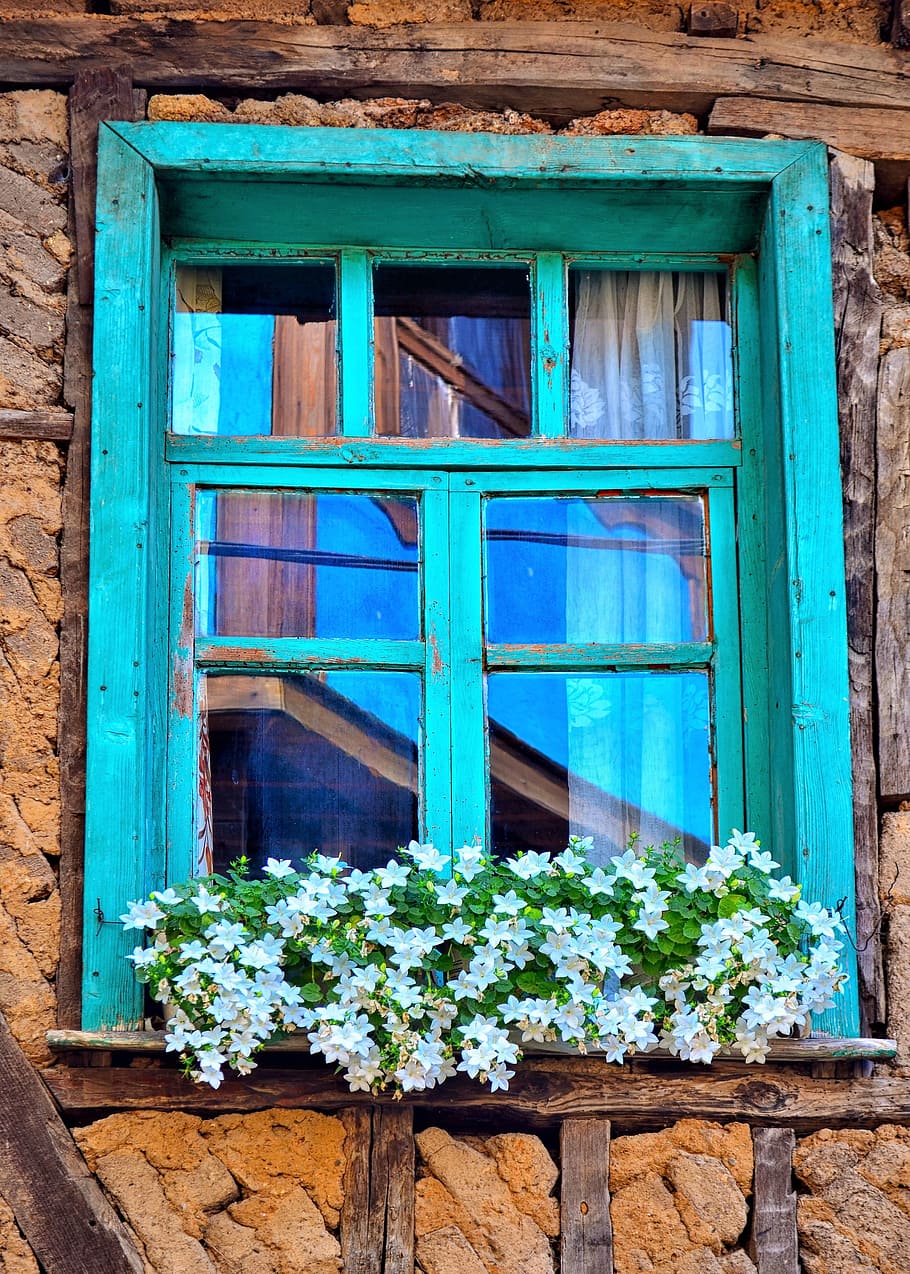 teal window glass with white petaled flowers, Culture, Architecture, HD wallpaper