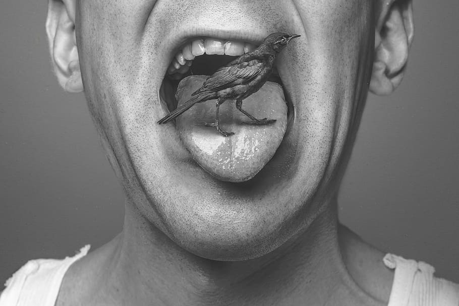 grayscale photo of bird on person's tongue wearing tank shirt, HD wallpaper