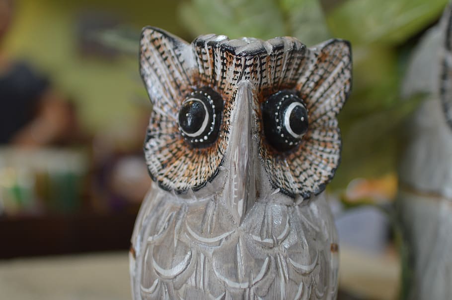 Owl, Souvenirs, gift, focus on foreground, one animal, close-up HD wallpaper