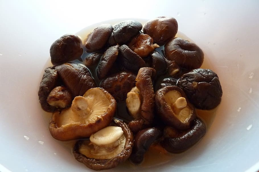 mushrooms, dried, soaking, white, bowl, vegetable, vegetarian HD wallpaper