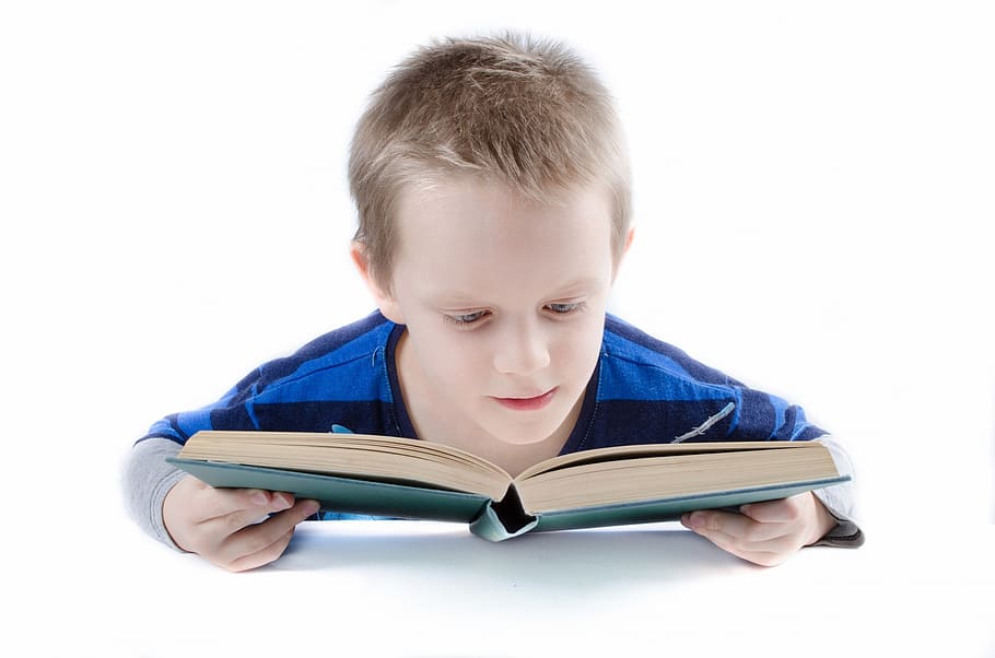 boy in blue and gray long-sleeved shirt reading book, child, kid, HD wallpaper