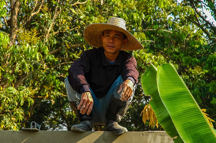 thai, man, human, sit, wait, indonesians, workers, wall, hat HD wallpaper