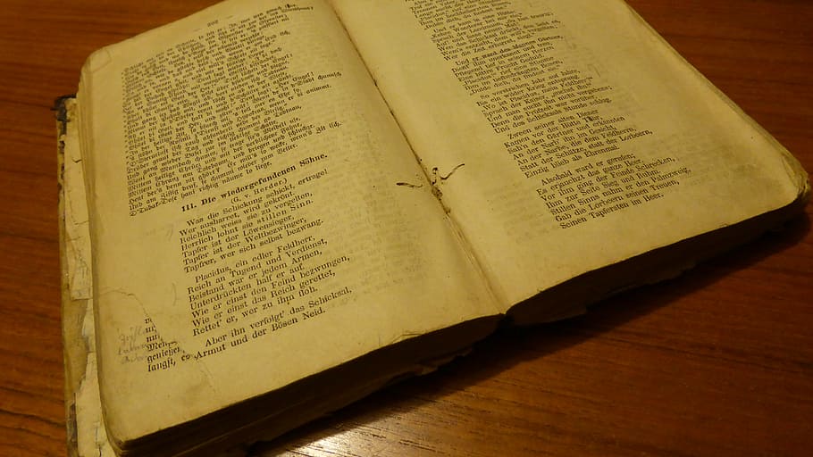 old book, bookworm, textbook, antiquarian, literature, old books HD wallpaper