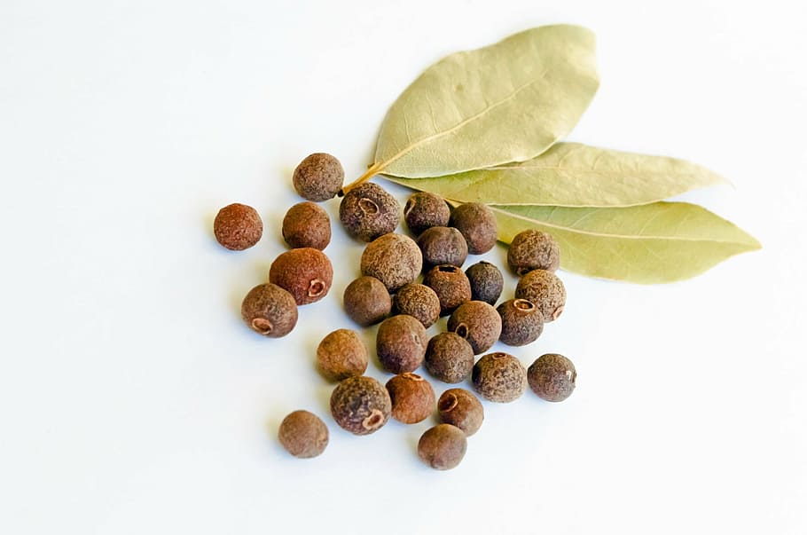 brown beans and green leaf, allspice, aromatic, bay-leaf, berry HD wallpaper