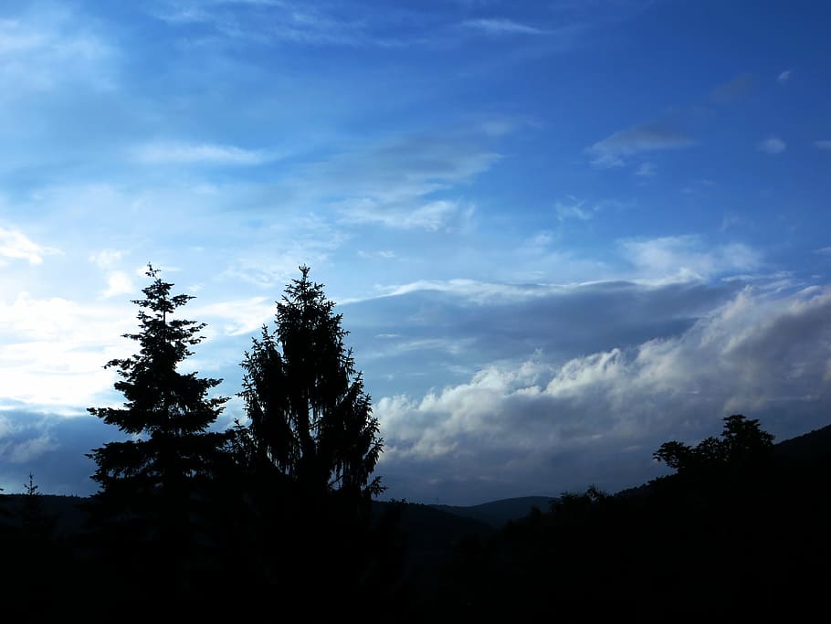 blue, sky, back light, trees, clouds, dramatic clouds, scenic HD wallpaper