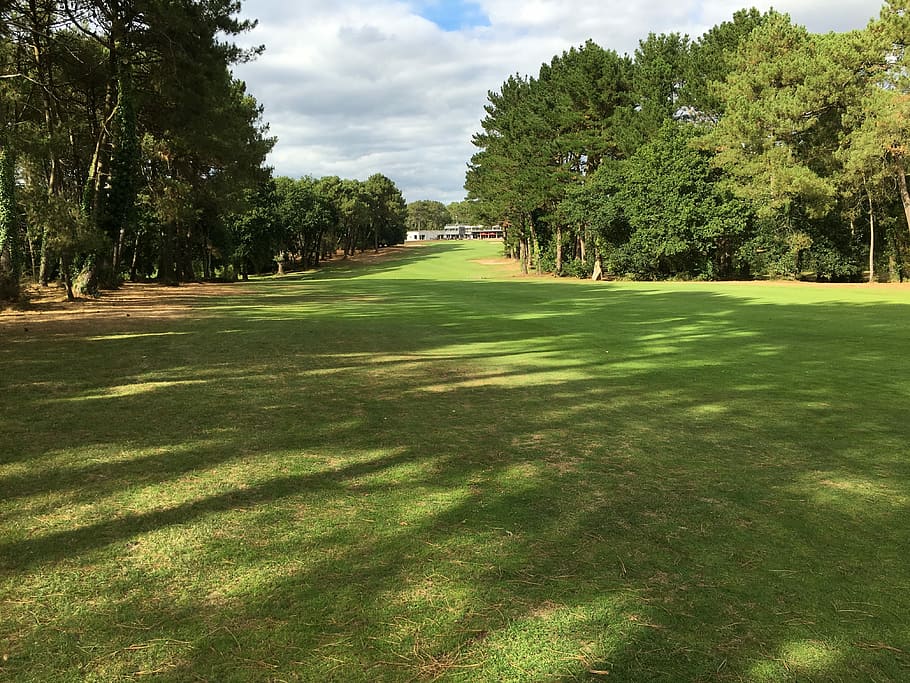 Golf, Lawn, Brittany, golf course, tree, green - golf course HD wallpaper