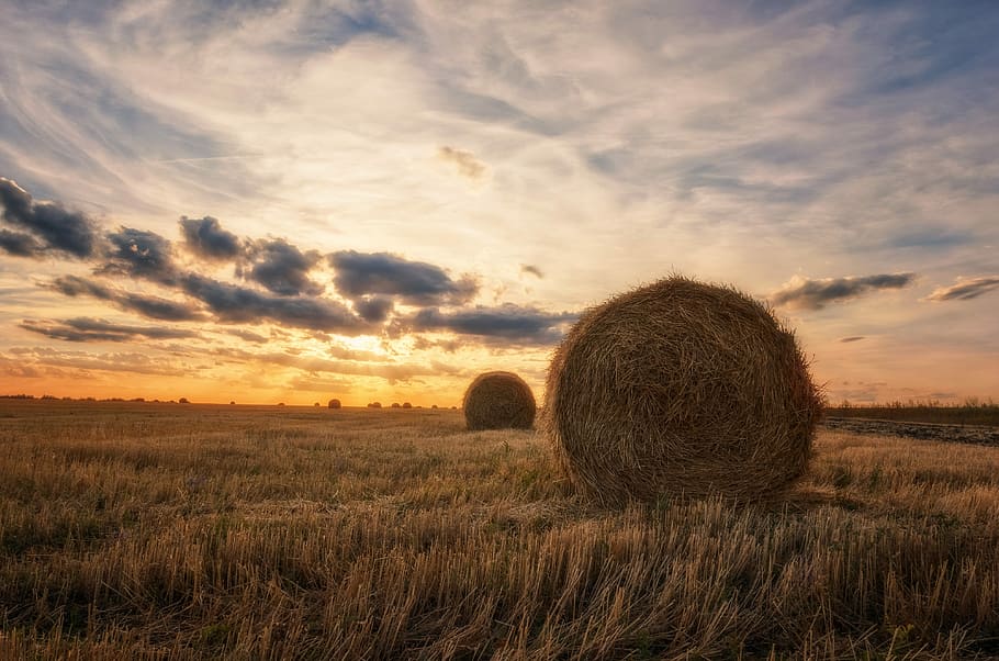 landscape, field, straw, bale, hay, agriculture, sky, farm HD wallpaper
