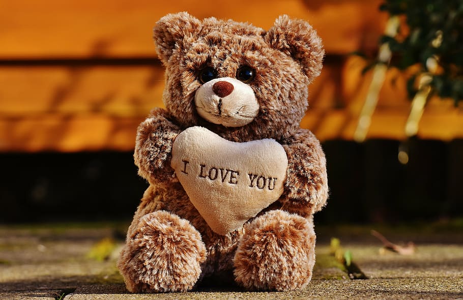 love, teddy, bears, cute, stuffed animal, valentine's day, friends, HD wallpaper