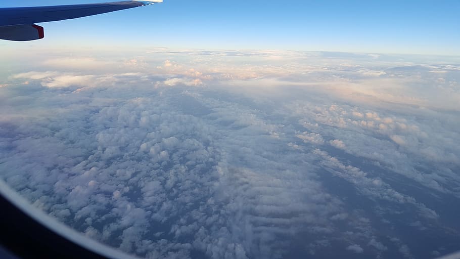 wings, aircraft, airplane, flying, air vehicle, aerial view HD wallpaper