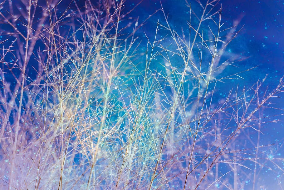 closeup photo of grass, sky, stars, space, screen, nature, planets HD wallpaper