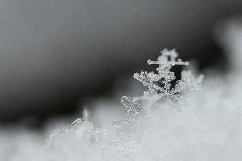 micro photography of snowflakes, macro, ice, cold, icy, crystals HD wallpaper