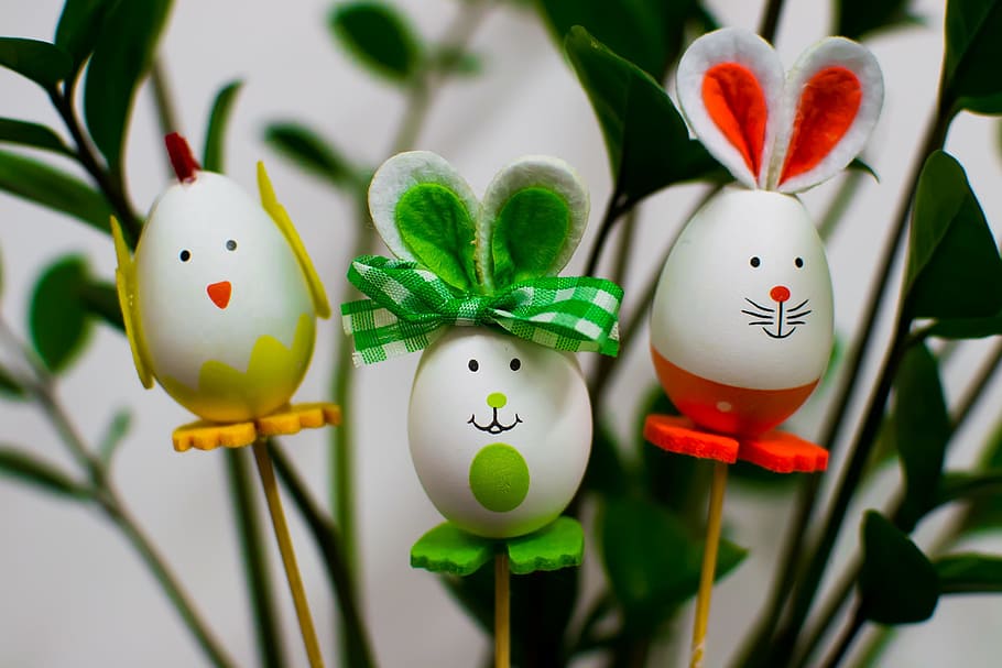 selective focus photography of three bunny and bird sticks HD wallpaper