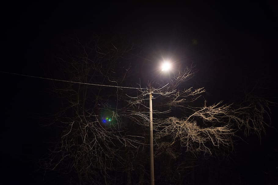 tree, post, power lines, light, dark, night, evening, illuminated HD wallpaper