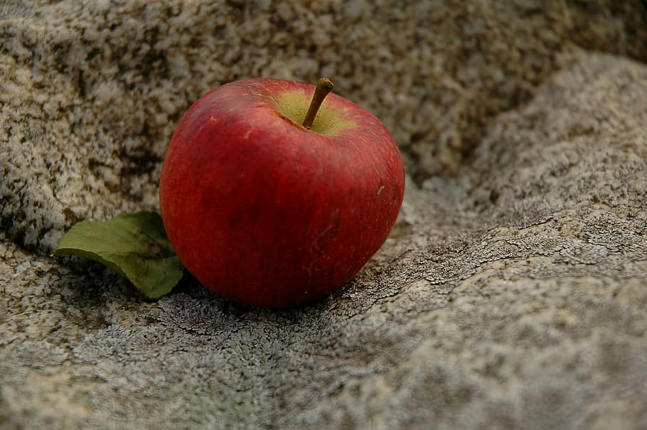 apple, red, fruit, food, healthy, delicious, stone, lunch, apple - Fruit HD wallpaper
