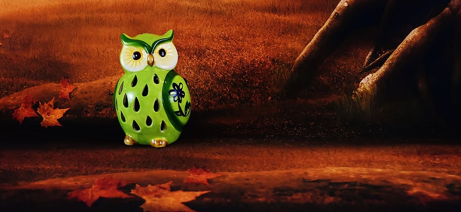 Owl, Ceramic, Decoration, Forest, Animal, funny, cute, no people HD wallpaper