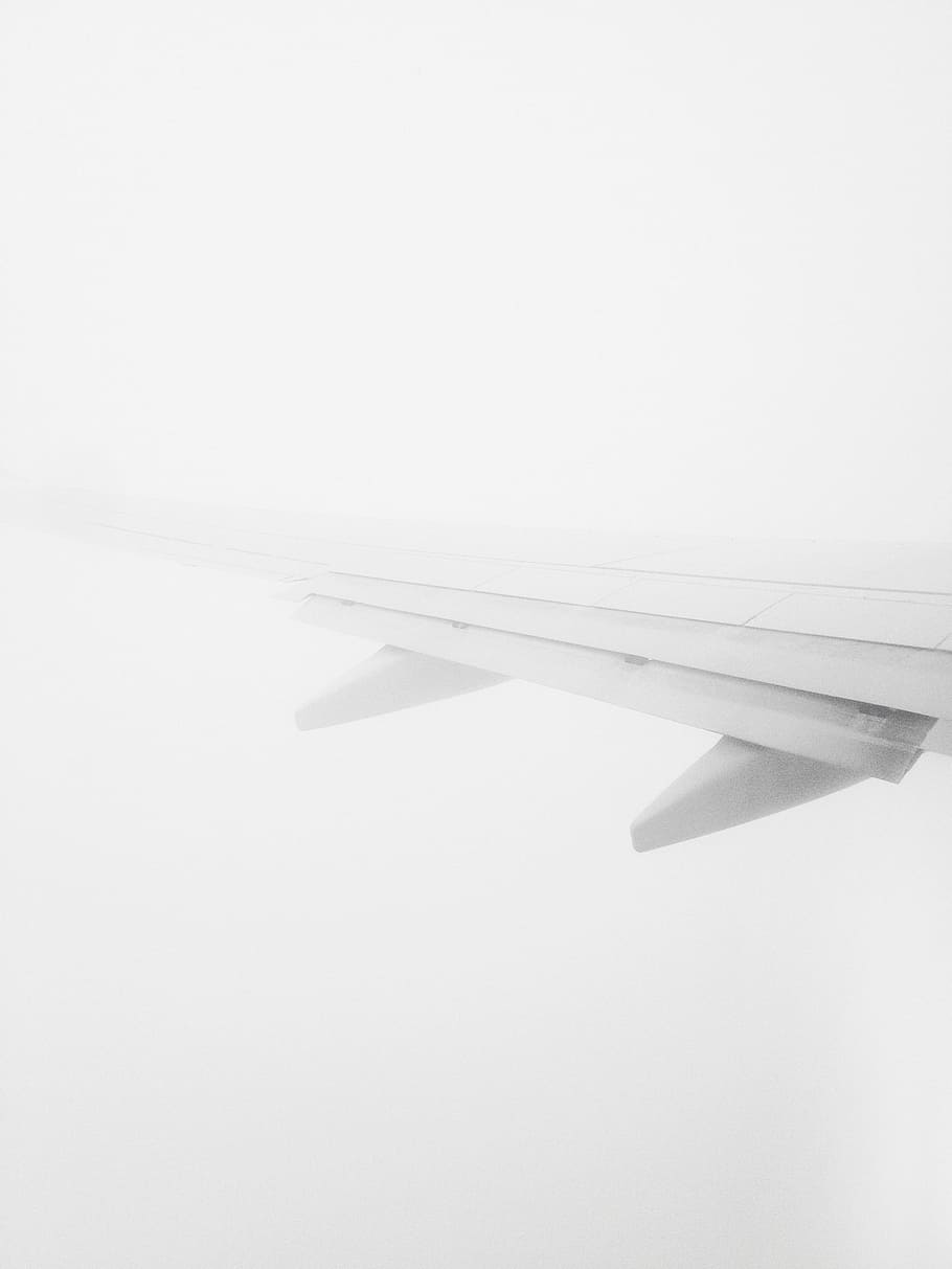 transportation, airplane, flight, technology, wings, still HD wallpaper
