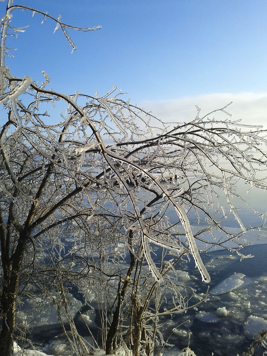 winter, ice storm, cold, icy, frozen, landscape, sky, cold temperature HD wallpaper