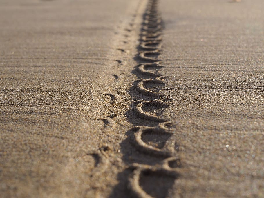 beach, sand, tire track, background, holiday, land, no people HD wallpaper