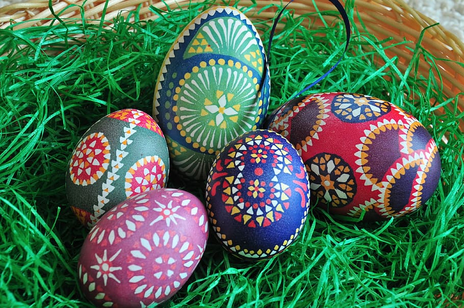 Easter Eggs, Painted, Colorful, grass, deco, celebration, tradition HD wallpaper