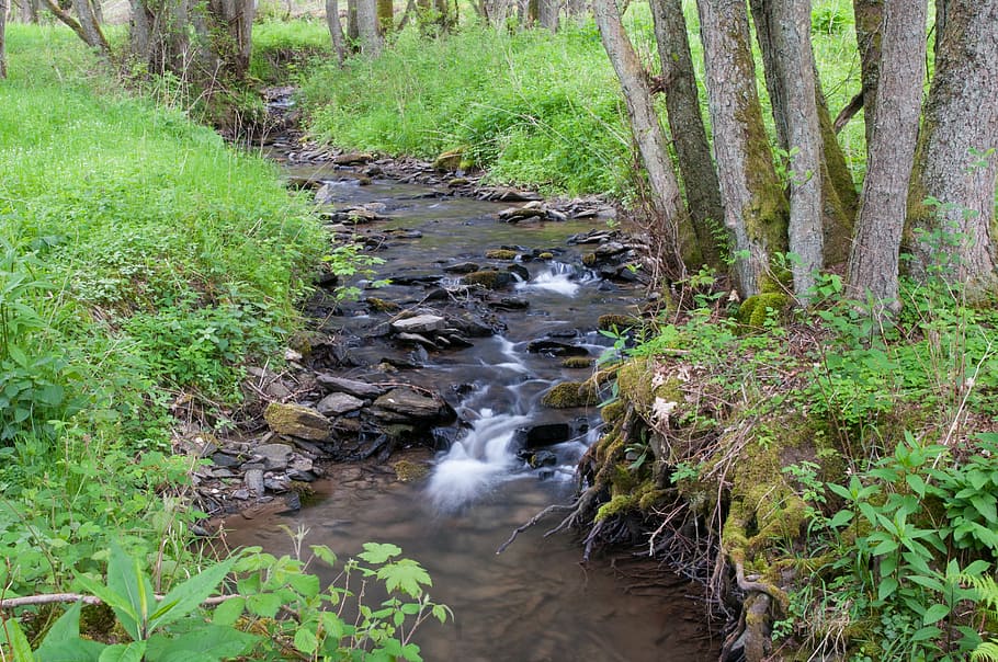 bach, blurry, long exposure, forest, natuschutzgebiet, sauer bach HD wallpaper