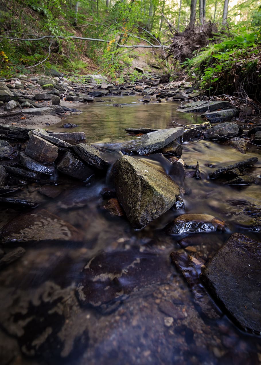 Time Lapse Photo of Stream on Green Forest, creek, outdoors, river HD wallpaper