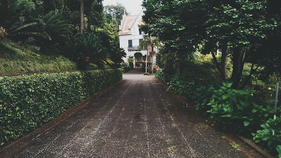 concrete pathway near white concrete storey house near trees at daytime, pathway between green leafed trees HD wallpaper