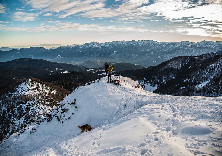 cold, snow, mountains, nature, animal, clouds, dog, environment HD wallpaper