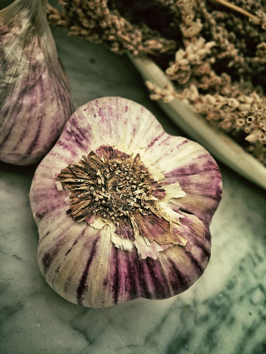 garlic cloves, aromatic, smell, mediterranean, food, white, plant, HD wallpaper